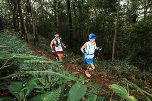 BIB: 
                            <button type="button" onclick="openModal(22533230)" class="btn btn-primary btn-sm float-right btn-popup" data-toggle="modal" data-target=".modal-high-quality">
                        <i class="fas fa-shopping-cart"></i> Add to Cart
                    </button>
                                            <button type="button" onclick="isThisMe(22533230, true)" class="btn btn-success btn-sm float-right btn-popup btn-isme hidden" data-toggle="tooltip" data-placement="bottom" title="นี่คือรูปของคุณใช่ไหม คลิกที่นี่เพื่อเอาเข้าอัลบั้ม">
                        <i class="fas fa-plus"></i> Add to album
                    </button>
                    <button type="button" onclick="isThisMe(22533230, false)" class="btn btn-warning btn-sm float-right btn-popup btn-isnotme hidden">
                        <i class="fas fa-ban"></i> Remove from album
                    </button>