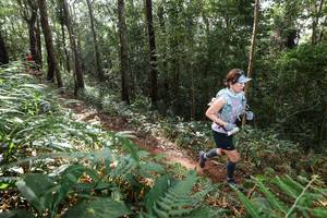 BIB: 
                            <button type="button" onclick="openModal(22545885)" class="btn btn-primary btn-sm float-right btn-popup" data-toggle="modal" data-target=".modal-high-quality">
                        <i class="fas fa-shopping-cart"></i> Add to Cart
                    </button>
                                            <button type="button" onclick="isThisMe(22545885, true)" class="btn btn-success btn-sm float-right btn-popup btn-isme hidden" data-toggle="tooltip" data-placement="bottom" title="นี่คือรูปของคุณใช่ไหม คลิกที่นี่เพื่อเอาเข้าอัลบั้ม">
                        <i class="fas fa-plus"></i> Add to album
                    </button>
                    <button type="button" onclick="isThisMe(22545885, false)" class="btn btn-warning btn-sm float-right btn-popup btn-isnotme hidden">
                        <i class="fas fa-ban"></i> Remove from album
                    </button>