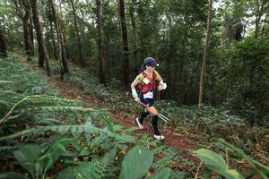 BIB: 
                            <button type="button" onclick="openModal(22541902)" class="btn btn-primary btn-sm float-right btn-popup" data-toggle="modal" data-target=".modal-high-quality">
                        <i class="fas fa-shopping-cart"></i> Add to Cart
                    </button>
                                            <button type="button" onclick="isThisMe(22541902, true)" class="btn btn-success btn-sm float-right btn-popup btn-isme hidden" data-toggle="tooltip" data-placement="bottom" title="นี่คือรูปของคุณใช่ไหม คลิกที่นี่เพื่อเอาเข้าอัลบั้ม">
                        <i class="fas fa-plus"></i> Add to album
                    </button>
                    <button type="button" onclick="isThisMe(22541902, false)" class="btn btn-warning btn-sm float-right btn-popup btn-isnotme hidden">
                        <i class="fas fa-ban"></i> Remove from album
                    </button>