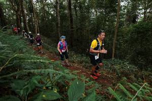 BIB: 
                            <button type="button" onclick="openModal(22582632)" class="btn btn-primary btn-sm float-right btn-popup" data-toggle="modal" data-target=".modal-high-quality">
                        <i class="fas fa-shopping-cart"></i> Add to Cart
                    </button>
                                            <button type="button" onclick="isThisMe(22582632, true)" class="btn btn-success btn-sm float-right btn-popup btn-isme hidden" data-toggle="tooltip" data-placement="bottom" title="นี่คือรูปของคุณใช่ไหม คลิกที่นี่เพื่อเอาเข้าอัลบั้ม">
                        <i class="fas fa-plus"></i> Add to album
                    </button>
                    <button type="button" onclick="isThisMe(22582632, false)" class="btn btn-warning btn-sm float-right btn-popup btn-isnotme hidden">
                        <i class="fas fa-ban"></i> Remove from album
                    </button>