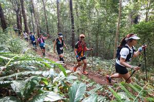 BIB: 
                            <button type="button" onclick="openModal(22565707)" class="btn btn-primary btn-sm float-right btn-popup" data-toggle="modal" data-target=".modal-high-quality">
                        <i class="fas fa-shopping-cart"></i> Add to Cart
                    </button>
                                            <button type="button" onclick="isThisMe(22565707, true)" class="btn btn-success btn-sm float-right btn-popup btn-isme hidden" data-toggle="tooltip" data-placement="bottom" title="นี่คือรูปของคุณใช่ไหม คลิกที่นี่เพื่อเอาเข้าอัลบั้ม">
                        <i class="fas fa-plus"></i> Add to album
                    </button>
                    <button type="button" onclick="isThisMe(22565707, false)" class="btn btn-warning btn-sm float-right btn-popup btn-isnotme hidden">
                        <i class="fas fa-ban"></i> Remove from album
                    </button>