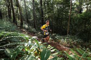 BIB: 
                            <button type="button" onclick="openModal(22544119)" class="btn btn-primary btn-sm float-right btn-popup" data-toggle="modal" data-target=".modal-high-quality">
                        <i class="fas fa-shopping-cart"></i> Add to Cart
                    </button>
                                            <button type="button" onclick="isThisMe(22544119, true)" class="btn btn-success btn-sm float-right btn-popup btn-isme hidden" data-toggle="tooltip" data-placement="bottom" title="นี่คือรูปของคุณใช่ไหม คลิกที่นี่เพื่อเอาเข้าอัลบั้ม">
                        <i class="fas fa-plus"></i> Add to album
                    </button>
                    <button type="button" onclick="isThisMe(22544119, false)" class="btn btn-warning btn-sm float-right btn-popup btn-isnotme hidden">
                        <i class="fas fa-ban"></i> Remove from album
                    </button>