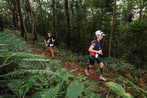 BIB: 
                            <button type="button" onclick="openModal(22533412)" class="btn btn-primary btn-sm float-right btn-popup" data-toggle="modal" data-target=".modal-high-quality">
                        <i class="fas fa-shopping-cart"></i> Add to Cart
                    </button>
                                            <button type="button" onclick="isThisMe(22533412, true)" class="btn btn-success btn-sm float-right btn-popup btn-isme hidden" data-toggle="tooltip" data-placement="bottom" title="นี่คือรูปของคุณใช่ไหม คลิกที่นี่เพื่อเอาเข้าอัลบั้ม">
                        <i class="fas fa-plus"></i> Add to album
                    </button>
                    <button type="button" onclick="isThisMe(22533412, false)" class="btn btn-warning btn-sm float-right btn-popup btn-isnotme hidden">
                        <i class="fas fa-ban"></i> Remove from album
                    </button>