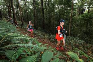 BIB: 
                            <button type="button" onclick="openModal(22536985)" class="btn btn-primary btn-sm float-right btn-popup" data-toggle="modal" data-target=".modal-high-quality">
                        <i class="fas fa-shopping-cart"></i> Add to Cart
                    </button>
                                            <button type="button" onclick="isThisMe(22536985, true)" class="btn btn-success btn-sm float-right btn-popup btn-isme hidden" data-toggle="tooltip" data-placement="bottom" title="นี่คือรูปของคุณใช่ไหม คลิกที่นี่เพื่อเอาเข้าอัลบั้ม">
                        <i class="fas fa-plus"></i> Add to album
                    </button>
                    <button type="button" onclick="isThisMe(22536985, false)" class="btn btn-warning btn-sm float-right btn-popup btn-isnotme hidden">
                        <i class="fas fa-ban"></i> Remove from album
                    </button>