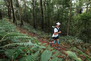 BIB: 
                            <button type="button" onclick="openModal(22541573)" class="btn btn-primary btn-sm float-right btn-popup" data-toggle="modal" data-target=".modal-high-quality">
                        <i class="fas fa-shopping-cart"></i> Add to Cart
                    </button>
                                            <button type="button" onclick="isThisMe(22541573, true)" class="btn btn-success btn-sm float-right btn-popup btn-isme hidden" data-toggle="tooltip" data-placement="bottom" title="นี่คือรูปของคุณใช่ไหม คลิกที่นี่เพื่อเอาเข้าอัลบั้ม">
                        <i class="fas fa-plus"></i> Add to album
                    </button>
                    <button type="button" onclick="isThisMe(22541573, false)" class="btn btn-warning btn-sm float-right btn-popup btn-isnotme hidden">
                        <i class="fas fa-ban"></i> Remove from album
                    </button>