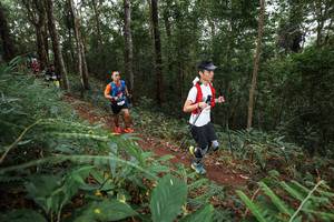 BIB: 
                            <button type="button" onclick="openModal(22567703)" class="btn btn-primary btn-sm float-right btn-popup" data-toggle="modal" data-target=".modal-high-quality">
                        <i class="fas fa-shopping-cart"></i> Add to Cart
                    </button>
                                            <button type="button" onclick="isThisMe(22567703, true)" class="btn btn-success btn-sm float-right btn-popup btn-isme hidden" data-toggle="tooltip" data-placement="bottom" title="นี่คือรูปของคุณใช่ไหม คลิกที่นี่เพื่อเอาเข้าอัลบั้ม">
                        <i class="fas fa-plus"></i> Add to album
                    </button>
                    <button type="button" onclick="isThisMe(22567703, false)" class="btn btn-warning btn-sm float-right btn-popup btn-isnotme hidden">
                        <i class="fas fa-ban"></i> Remove from album
                    </button>