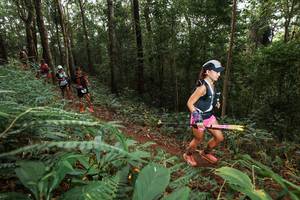 BIB: 
                            <button type="button" onclick="openModal(22537031)" class="btn btn-primary btn-sm float-right btn-popup" data-toggle="modal" data-target=".modal-high-quality">
                        <i class="fas fa-shopping-cart"></i> Add to Cart
                    </button>
                                            <button type="button" onclick="isThisMe(22537031, true)" class="btn btn-success btn-sm float-right btn-popup btn-isme hidden" data-toggle="tooltip" data-placement="bottom" title="นี่คือรูปของคุณใช่ไหม คลิกที่นี่เพื่อเอาเข้าอัลบั้ม">
                        <i class="fas fa-plus"></i> Add to album
                    </button>
                    <button type="button" onclick="isThisMe(22537031, false)" class="btn btn-warning btn-sm float-right btn-popup btn-isnotme hidden">
                        <i class="fas fa-ban"></i> Remove from album
                    </button>