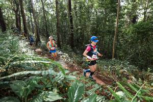 BIB: 
                            <button type="button" onclick="openModal(22562898)" class="btn btn-primary btn-sm float-right btn-popup" data-toggle="modal" data-target=".modal-high-quality">
                        <i class="fas fa-shopping-cart"></i> Add to Cart
                    </button>
                                            <button type="button" onclick="isThisMe(22562898, true)" class="btn btn-success btn-sm float-right btn-popup btn-isme hidden" data-toggle="tooltip" data-placement="bottom" title="นี่คือรูปของคุณใช่ไหม คลิกที่นี่เพื่อเอาเข้าอัลบั้ม">
                        <i class="fas fa-plus"></i> Add to album
                    </button>
                    <button type="button" onclick="isThisMe(22562898, false)" class="btn btn-warning btn-sm float-right btn-popup btn-isnotme hidden">
                        <i class="fas fa-ban"></i> Remove from album
                    </button>