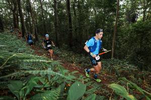 BIB: 
                            <button type="button" onclick="openModal(22536215)" class="btn btn-primary btn-sm float-right btn-popup" data-toggle="modal" data-target=".modal-high-quality">
                        <i class="fas fa-shopping-cart"></i> Add to Cart
                    </button>
                                            <button type="button" onclick="isThisMe(22536215, true)" class="btn btn-success btn-sm float-right btn-popup btn-isme hidden" data-toggle="tooltip" data-placement="bottom" title="นี่คือรูปของคุณใช่ไหม คลิกที่นี่เพื่อเอาเข้าอัลบั้ม">
                        <i class="fas fa-plus"></i> Add to album
                    </button>
                    <button type="button" onclick="isThisMe(22536215, false)" class="btn btn-warning btn-sm float-right btn-popup btn-isnotme hidden">
                        <i class="fas fa-ban"></i> Remove from album
                    </button>