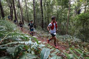 BIB: 
                            <button type="button" onclick="openModal(22564749)" class="btn btn-primary btn-sm float-right btn-popup" data-toggle="modal" data-target=".modal-high-quality">
                        <i class="fas fa-shopping-cart"></i> Add to Cart
                    </button>
                                            <button type="button" onclick="isThisMe(22564749, true)" class="btn btn-success btn-sm float-right btn-popup btn-isme hidden" data-toggle="tooltip" data-placement="bottom" title="นี่คือรูปของคุณใช่ไหม คลิกที่นี่เพื่อเอาเข้าอัลบั้ม">
                        <i class="fas fa-plus"></i> Add to album
                    </button>
                    <button type="button" onclick="isThisMe(22564749, false)" class="btn btn-warning btn-sm float-right btn-popup btn-isnotme hidden">
                        <i class="fas fa-ban"></i> Remove from album
                    </button>