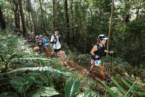 BIB: 
                            <button type="button" onclick="openModal(22547279)" class="btn btn-primary btn-sm float-right btn-popup" data-toggle="modal" data-target=".modal-high-quality">
                        <i class="fas fa-shopping-cart"></i> Add to Cart
                    </button>
                                            <button type="button" onclick="isThisMe(22547279, true)" class="btn btn-success btn-sm float-right btn-popup btn-isme hidden" data-toggle="tooltip" data-placement="bottom" title="นี่คือรูปของคุณใช่ไหม คลิกที่นี่เพื่อเอาเข้าอัลบั้ม">
                        <i class="fas fa-plus"></i> Add to album
                    </button>
                    <button type="button" onclick="isThisMe(22547279, false)" class="btn btn-warning btn-sm float-right btn-popup btn-isnotme hidden">
                        <i class="fas fa-ban"></i> Remove from album
                    </button>