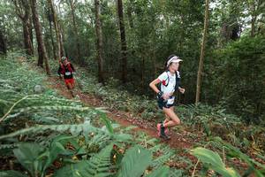 BIB: 
                            <button type="button" onclick="openModal(22532882)" class="btn btn-primary btn-sm float-right btn-popup" data-toggle="modal" data-target=".modal-high-quality">
                        <i class="fas fa-shopping-cart"></i> Add to Cart
                    </button>
                                            <button type="button" onclick="isThisMe(22532882, true)" class="btn btn-success btn-sm float-right btn-popup btn-isme hidden" data-toggle="tooltip" data-placement="bottom" title="นี่คือรูปของคุณใช่ไหม คลิกที่นี่เพื่อเอาเข้าอัลบั้ม">
                        <i class="fas fa-plus"></i> Add to album
                    </button>
                    <button type="button" onclick="isThisMe(22532882, false)" class="btn btn-warning btn-sm float-right btn-popup btn-isnotme hidden">
                        <i class="fas fa-ban"></i> Remove from album
                    </button>