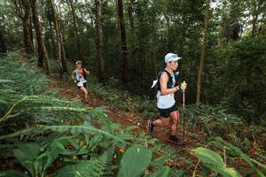 BIB: 
                            <button type="button" onclick="openModal(22534066)" class="btn btn-primary btn-sm float-right btn-popup" data-toggle="modal" data-target=".modal-high-quality">
                        <i class="fas fa-shopping-cart"></i> Add to Cart
                    </button>
                                            <button type="button" onclick="isThisMe(22534066, true)" class="btn btn-success btn-sm float-right btn-popup btn-isme hidden" data-toggle="tooltip" data-placement="bottom" title="นี่คือรูปของคุณใช่ไหม คลิกที่นี่เพื่อเอาเข้าอัลบั้ม">
                        <i class="fas fa-plus"></i> Add to album
                    </button>
                    <button type="button" onclick="isThisMe(22534066, false)" class="btn btn-warning btn-sm float-right btn-popup btn-isnotme hidden">
                        <i class="fas fa-ban"></i> Remove from album
                    </button>