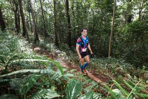 BIB: 
                            <button type="button" onclick="openModal(22562424)" class="btn btn-primary btn-sm float-right btn-popup" data-toggle="modal" data-target=".modal-high-quality">
                        <i class="fas fa-shopping-cart"></i> Add to Cart
                    </button>
                                            <button type="button" onclick="isThisMe(22562424, true)" class="btn btn-success btn-sm float-right btn-popup btn-isme hidden" data-toggle="tooltip" data-placement="bottom" title="นี่คือรูปของคุณใช่ไหม คลิกที่นี่เพื่อเอาเข้าอัลบั้ม">
                        <i class="fas fa-plus"></i> Add to album
                    </button>
                    <button type="button" onclick="isThisMe(22562424, false)" class="btn btn-warning btn-sm float-right btn-popup btn-isnotme hidden">
                        <i class="fas fa-ban"></i> Remove from album
                    </button>