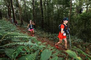 BIB: 
                            <button type="button" onclick="openModal(22536994)" class="btn btn-primary btn-sm float-right btn-popup" data-toggle="modal" data-target=".modal-high-quality">
                        <i class="fas fa-shopping-cart"></i> Add to Cart
                    </button>
                                            <button type="button" onclick="isThisMe(22536994, true)" class="btn btn-success btn-sm float-right btn-popup btn-isme hidden" data-toggle="tooltip" data-placement="bottom" title="นี่คือรูปของคุณใช่ไหม คลิกที่นี่เพื่อเอาเข้าอัลบั้ม">
                        <i class="fas fa-plus"></i> Add to album
                    </button>
                    <button type="button" onclick="isThisMe(22536994, false)" class="btn btn-warning btn-sm float-right btn-popup btn-isnotme hidden">
                        <i class="fas fa-ban"></i> Remove from album
                    </button>