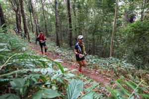 BIB: 
                            <button type="button" onclick="openModal(22567116)" class="btn btn-primary btn-sm float-right btn-popup" data-toggle="modal" data-target=".modal-high-quality">
                        <i class="fas fa-shopping-cart"></i> Add to Cart
                    </button>
                                            <button type="button" onclick="isThisMe(22567116, true)" class="btn btn-success btn-sm float-right btn-popup btn-isme hidden" data-toggle="tooltip" data-placement="bottom" title="นี่คือรูปของคุณใช่ไหม คลิกที่นี่เพื่อเอาเข้าอัลบั้ม">
                        <i class="fas fa-plus"></i> Add to album
                    </button>
                    <button type="button" onclick="isThisMe(22567116, false)" class="btn btn-warning btn-sm float-right btn-popup btn-isnotme hidden">
                        <i class="fas fa-ban"></i> Remove from album
                    </button>