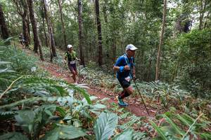 BIB: 
                            <button type="button" onclick="openModal(22567354)" class="btn btn-primary btn-sm float-right btn-popup" data-toggle="modal" data-target=".modal-high-quality">
                        <i class="fas fa-shopping-cart"></i> Add to Cart
                    </button>
                                            <button type="button" onclick="isThisMe(22567354, true)" class="btn btn-success btn-sm float-right btn-popup btn-isme hidden" data-toggle="tooltip" data-placement="bottom" title="นี่คือรูปของคุณใช่ไหม คลิกที่นี่เพื่อเอาเข้าอัลบั้ม">
                        <i class="fas fa-plus"></i> Add to album
                    </button>
                    <button type="button" onclick="isThisMe(22567354, false)" class="btn btn-warning btn-sm float-right btn-popup btn-isnotme hidden">
                        <i class="fas fa-ban"></i> Remove from album
                    </button>