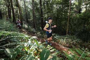 BIB: 
                            <button type="button" onclick="openModal(22544133)" class="btn btn-primary btn-sm float-right btn-popup" data-toggle="modal" data-target=".modal-high-quality">
                        <i class="fas fa-shopping-cart"></i> Add to Cart
                    </button>
                                            <button type="button" onclick="isThisMe(22544133, true)" class="btn btn-success btn-sm float-right btn-popup btn-isme hidden" data-toggle="tooltip" data-placement="bottom" title="นี่คือรูปของคุณใช่ไหม คลิกที่นี่เพื่อเอาเข้าอัลบั้ม">
                        <i class="fas fa-plus"></i> Add to album
                    </button>
                    <button type="button" onclick="isThisMe(22544133, false)" class="btn btn-warning btn-sm float-right btn-popup btn-isnotme hidden">
                        <i class="fas fa-ban"></i> Remove from album
                    </button>