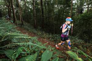 BIB: 
                            <button type="button" onclick="openModal(22533260)" class="btn btn-primary btn-sm float-right btn-popup" data-toggle="modal" data-target=".modal-high-quality">
                        <i class="fas fa-shopping-cart"></i> Add to Cart
                    </button>
                                            <button type="button" onclick="isThisMe(22533260, true)" class="btn btn-success btn-sm float-right btn-popup btn-isme hidden" data-toggle="tooltip" data-placement="bottom" title="นี่คือรูปของคุณใช่ไหม คลิกที่นี่เพื่อเอาเข้าอัลบั้ม">
                        <i class="fas fa-plus"></i> Add to album
                    </button>
                    <button type="button" onclick="isThisMe(22533260, false)" class="btn btn-warning btn-sm float-right btn-popup btn-isnotme hidden">
                        <i class="fas fa-ban"></i> Remove from album
                    </button>