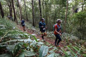 BIB: 
                            <button type="button" onclick="openModal(22565151)" class="btn btn-primary btn-sm float-right btn-popup" data-toggle="modal" data-target=".modal-high-quality">
                        <i class="fas fa-shopping-cart"></i> Add to Cart
                    </button>
                                            <button type="button" onclick="isThisMe(22565151, true)" class="btn btn-success btn-sm float-right btn-popup btn-isme hidden" data-toggle="tooltip" data-placement="bottom" title="นี่คือรูปของคุณใช่ไหม คลิกที่นี่เพื่อเอาเข้าอัลบั้ม">
                        <i class="fas fa-plus"></i> Add to album
                    </button>
                    <button type="button" onclick="isThisMe(22565151, false)" class="btn btn-warning btn-sm float-right btn-popup btn-isnotme hidden">
                        <i class="fas fa-ban"></i> Remove from album
                    </button>