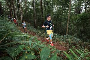 BIB: 
                            <button type="button" onclick="openModal(22567720)" class="btn btn-primary btn-sm float-right btn-popup" data-toggle="modal" data-target=".modal-high-quality">
                        <i class="fas fa-shopping-cart"></i> Add to Cart
                    </button>
                                            <button type="button" onclick="isThisMe(22567720, true)" class="btn btn-success btn-sm float-right btn-popup btn-isme hidden" data-toggle="tooltip" data-placement="bottom" title="นี่คือรูปของคุณใช่ไหม คลิกที่นี่เพื่อเอาเข้าอัลบั้ม">
                        <i class="fas fa-plus"></i> Add to album
                    </button>
                    <button type="button" onclick="isThisMe(22567720, false)" class="btn btn-warning btn-sm float-right btn-popup btn-isnotme hidden">
                        <i class="fas fa-ban"></i> Remove from album
                    </button>