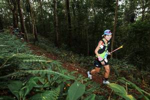 BIB: 
                            <button type="button" onclick="openModal(22533274)" class="btn btn-primary btn-sm float-right btn-popup" data-toggle="modal" data-target=".modal-high-quality">
                        <i class="fas fa-shopping-cart"></i> Add to Cart
                    </button>
                                            <button type="button" onclick="isThisMe(22533274, true)" class="btn btn-success btn-sm float-right btn-popup btn-isme hidden" data-toggle="tooltip" data-placement="bottom" title="นี่คือรูปของคุณใช่ไหม คลิกที่นี่เพื่อเอาเข้าอัลบั้ม">
                        <i class="fas fa-plus"></i> Add to album
                    </button>
                    <button type="button" onclick="isThisMe(22533274, false)" class="btn btn-warning btn-sm float-right btn-popup btn-isnotme hidden">
                        <i class="fas fa-ban"></i> Remove from album
                    </button>