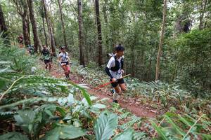 BIB: 
                            <button type="button" onclick="openModal(22566906)" class="btn btn-primary btn-sm float-right btn-popup" data-toggle="modal" data-target=".modal-high-quality">
                        <i class="fas fa-shopping-cart"></i> Add to Cart
                    </button>
                                            <button type="button" onclick="isThisMe(22566906, true)" class="btn btn-success btn-sm float-right btn-popup btn-isme hidden" data-toggle="tooltip" data-placement="bottom" title="นี่คือรูปของคุณใช่ไหม คลิกที่นี่เพื่อเอาเข้าอัลบั้ม">
                        <i class="fas fa-plus"></i> Add to album
                    </button>
                    <button type="button" onclick="isThisMe(22566906, false)" class="btn btn-warning btn-sm float-right btn-popup btn-isnotme hidden">
                        <i class="fas fa-ban"></i> Remove from album
                    </button>