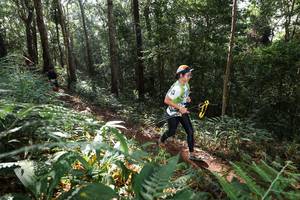 BIB: 
                            <button type="button" onclick="openModal(22544557)" class="btn btn-primary btn-sm float-right btn-popup" data-toggle="modal" data-target=".modal-high-quality">
                        <i class="fas fa-shopping-cart"></i> Add to Cart
                    </button>
                                            <button type="button" onclick="isThisMe(22544557, true)" class="btn btn-success btn-sm float-right btn-popup btn-isme hidden" data-toggle="tooltip" data-placement="bottom" title="นี่คือรูปของคุณใช่ไหม คลิกที่นี่เพื่อเอาเข้าอัลบั้ม">
                        <i class="fas fa-plus"></i> Add to album
                    </button>
                    <button type="button" onclick="isThisMe(22544557, false)" class="btn btn-warning btn-sm float-right btn-popup btn-isnotme hidden">
                        <i class="fas fa-ban"></i> Remove from album
                    </button>