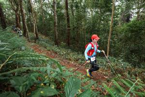 BIB: 163
                            <button type="button" onclick="openModal(22570827)" class="btn btn-primary btn-sm float-right btn-popup" data-toggle="modal" data-target=".modal-high-quality">
                        <i class="fas fa-shopping-cart"></i> Add to Cart
                    </button>
                                            <button type="button" onclick="isThisMe(22570827, true)" class="btn btn-success btn-sm float-right btn-popup btn-isme hidden" data-toggle="tooltip" data-placement="bottom" title="นี่คือรูปของคุณใช่ไหม คลิกที่นี่เพื่อเอาเข้าอัลบั้ม">
                        <i class="fas fa-plus"></i> Add to album
                    </button>
                    <button type="button" onclick="isThisMe(22570827, false)" class="btn btn-warning btn-sm float-right btn-popup btn-isnotme hidden">
                        <i class="fas fa-ban"></i> Remove from album
                    </button>