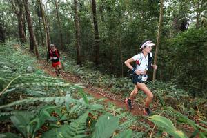 BIB: 
                            <button type="button" onclick="openModal(22532880)" class="btn btn-primary btn-sm float-right btn-popup" data-toggle="modal" data-target=".modal-high-quality">
                        <i class="fas fa-shopping-cart"></i> Add to Cart
                    </button>
                                            <button type="button" onclick="isThisMe(22532880, true)" class="btn btn-success btn-sm float-right btn-popup btn-isme hidden" data-toggle="tooltip" data-placement="bottom" title="นี่คือรูปของคุณใช่ไหม คลิกที่นี่เพื่อเอาเข้าอัลบั้ม">
                        <i class="fas fa-plus"></i> Add to album
                    </button>
                    <button type="button" onclick="isThisMe(22532880, false)" class="btn btn-warning btn-sm float-right btn-popup btn-isnotme hidden">
                        <i class="fas fa-ban"></i> Remove from album
                    </button>