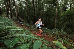 BIB: 
                            <button type="button" onclick="openModal(22537284)" class="btn btn-primary btn-sm float-right btn-popup" data-toggle="modal" data-target=".modal-high-quality">
                        <i class="fas fa-shopping-cart"></i> Add to Cart
                    </button>
                                            <button type="button" onclick="isThisMe(22537284, true)" class="btn btn-success btn-sm float-right btn-popup btn-isme hidden" data-toggle="tooltip" data-placement="bottom" title="นี่คือรูปของคุณใช่ไหม คลิกที่นี่เพื่อเอาเข้าอัลบั้ม">
                        <i class="fas fa-plus"></i> Add to album
                    </button>
                    <button type="button" onclick="isThisMe(22537284, false)" class="btn btn-warning btn-sm float-right btn-popup btn-isnotme hidden">
                        <i class="fas fa-ban"></i> Remove from album
                    </button>