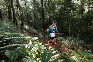 BIB: 
                            <button type="button" onclick="openModal(22543983)" class="btn btn-primary btn-sm float-right btn-popup" data-toggle="modal" data-target=".modal-high-quality">
                        <i class="fas fa-shopping-cart"></i> Add to Cart
                    </button>
                                            <button type="button" onclick="isThisMe(22543983, true)" class="btn btn-success btn-sm float-right btn-popup btn-isme hidden" data-toggle="tooltip" data-placement="bottom" title="นี่คือรูปของคุณใช่ไหม คลิกที่นี่เพื่อเอาเข้าอัลบั้ม">
                        <i class="fas fa-plus"></i> Add to album
                    </button>
                    <button type="button" onclick="isThisMe(22543983, false)" class="btn btn-warning btn-sm float-right btn-popup btn-isnotme hidden">
                        <i class="fas fa-ban"></i> Remove from album
                    </button>