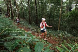 BIB: 
                            <button type="button" onclick="openModal(22584516)" class="btn btn-primary btn-sm float-right btn-popup" data-toggle="modal" data-target=".modal-high-quality">
                        <i class="fas fa-shopping-cart"></i> Add to Cart
                    </button>
                                            <button type="button" onclick="isThisMe(22584516, true)" class="btn btn-success btn-sm float-right btn-popup btn-isme hidden" data-toggle="tooltip" data-placement="bottom" title="นี่คือรูปของคุณใช่ไหม คลิกที่นี่เพื่อเอาเข้าอัลบั้ม">
                        <i class="fas fa-plus"></i> Add to album
                    </button>
                    <button type="button" onclick="isThisMe(22584516, false)" class="btn btn-warning btn-sm float-right btn-popup btn-isnotme hidden">
                        <i class="fas fa-ban"></i> Remove from album
                    </button>