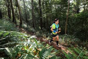 BIB: 
                            <button type="button" onclick="openModal(22544269)" class="btn btn-primary btn-sm float-right btn-popup" data-toggle="modal" data-target=".modal-high-quality">
                        <i class="fas fa-shopping-cart"></i> Add to Cart
                    </button>
                                            <button type="button" onclick="isThisMe(22544269, true)" class="btn btn-success btn-sm float-right btn-popup btn-isme hidden" data-toggle="tooltip" data-placement="bottom" title="นี่คือรูปของคุณใช่ไหม คลิกที่นี่เพื่อเอาเข้าอัลบั้ม">
                        <i class="fas fa-plus"></i> Add to album
                    </button>
                    <button type="button" onclick="isThisMe(22544269, false)" class="btn btn-warning btn-sm float-right btn-popup btn-isnotme hidden">
                        <i class="fas fa-ban"></i> Remove from album
                    </button>