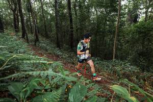 BIB: 
                            <button type="button" onclick="openModal(22542503)" class="btn btn-primary btn-sm float-right btn-popup" data-toggle="modal" data-target=".modal-high-quality">
                        <i class="fas fa-shopping-cart"></i> Add to Cart
                    </button>
                                            <button type="button" onclick="isThisMe(22542503, true)" class="btn btn-success btn-sm float-right btn-popup btn-isme hidden" data-toggle="tooltip" data-placement="bottom" title="นี่คือรูปของคุณใช่ไหม คลิกที่นี่เพื่อเอาเข้าอัลบั้ม">
                        <i class="fas fa-plus"></i> Add to album
                    </button>
                    <button type="button" onclick="isThisMe(22542503, false)" class="btn btn-warning btn-sm float-right btn-popup btn-isnotme hidden">
                        <i class="fas fa-ban"></i> Remove from album
                    </button>