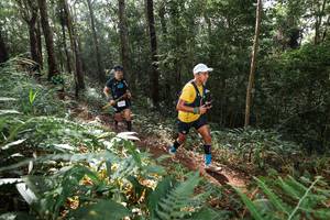 BIB: 
                            <button type="button" onclick="openModal(22544692)" class="btn btn-primary btn-sm float-right btn-popup" data-toggle="modal" data-target=".modal-high-quality">
                        <i class="fas fa-shopping-cart"></i> Add to Cart
                    </button>
                                            <button type="button" onclick="isThisMe(22544692, true)" class="btn btn-success btn-sm float-right btn-popup btn-isme hidden" data-toggle="tooltip" data-placement="bottom" title="นี่คือรูปของคุณใช่ไหม คลิกที่นี่เพื่อเอาเข้าอัลบั้ม">
                        <i class="fas fa-plus"></i> Add to album
                    </button>
                    <button type="button" onclick="isThisMe(22544692, false)" class="btn btn-warning btn-sm float-right btn-popup btn-isnotme hidden">
                        <i class="fas fa-ban"></i> Remove from album
                    </button>