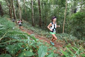 BIB: 
                            <button type="button" onclick="openModal(22580442)" class="btn btn-primary btn-sm float-right btn-popup" data-toggle="modal" data-target=".modal-high-quality">
                        <i class="fas fa-shopping-cart"></i> Add to Cart
                    </button>
                                            <button type="button" onclick="isThisMe(22580442, true)" class="btn btn-success btn-sm float-right btn-popup btn-isme hidden" data-toggle="tooltip" data-placement="bottom" title="นี่คือรูปของคุณใช่ไหม คลิกที่นี่เพื่อเอาเข้าอัลบั้ม">
                        <i class="fas fa-plus"></i> Add to album
                    </button>
                    <button type="button" onclick="isThisMe(22580442, false)" class="btn btn-warning btn-sm float-right btn-popup btn-isnotme hidden">
                        <i class="fas fa-ban"></i> Remove from album
                    </button>