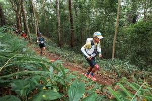 BIB: 
                            <button type="button" onclick="openModal(22580627)" class="btn btn-primary btn-sm float-right btn-popup" data-toggle="modal" data-target=".modal-high-quality">
                        <i class="fas fa-shopping-cart"></i> Add to Cart
                    </button>
                                            <button type="button" onclick="isThisMe(22580627, true)" class="btn btn-success btn-sm float-right btn-popup btn-isme hidden" data-toggle="tooltip" data-placement="bottom" title="นี่คือรูปของคุณใช่ไหม คลิกที่นี่เพื่อเอาเข้าอัลบั้ม">
                        <i class="fas fa-plus"></i> Add to album
                    </button>
                    <button type="button" onclick="isThisMe(22580627, false)" class="btn btn-warning btn-sm float-right btn-popup btn-isnotme hidden">
                        <i class="fas fa-ban"></i> Remove from album
                    </button>