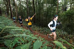 BIB: 
                            <button type="button" onclick="openModal(22535468)" class="btn btn-primary btn-sm float-right btn-popup" data-toggle="modal" data-target=".modal-high-quality">
                        <i class="fas fa-shopping-cart"></i> Add to Cart
                    </button>
                                            <button type="button" onclick="isThisMe(22535468, true)" class="btn btn-success btn-sm float-right btn-popup btn-isme hidden" data-toggle="tooltip" data-placement="bottom" title="นี่คือรูปของคุณใช่ไหม คลิกที่นี่เพื่อเอาเข้าอัลบั้ม">
                        <i class="fas fa-plus"></i> Add to album
                    </button>
                    <button type="button" onclick="isThisMe(22535468, false)" class="btn btn-warning btn-sm float-right btn-popup btn-isnotme hidden">
                        <i class="fas fa-ban"></i> Remove from album
                    </button>