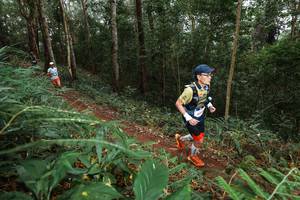 BIB: 
                            <button type="button" onclick="openModal(22583370)" class="btn btn-primary btn-sm float-right btn-popup" data-toggle="modal" data-target=".modal-high-quality">
                        <i class="fas fa-shopping-cart"></i> Add to Cart
                    </button>
                                            <button type="button" onclick="isThisMe(22583370, true)" class="btn btn-success btn-sm float-right btn-popup btn-isme hidden" data-toggle="tooltip" data-placement="bottom" title="นี่คือรูปของคุณใช่ไหม คลิกที่นี่เพื่อเอาเข้าอัลบั้ม">
                        <i class="fas fa-plus"></i> Add to album
                    </button>
                    <button type="button" onclick="isThisMe(22583370, false)" class="btn btn-warning btn-sm float-right btn-popup btn-isnotme hidden">
                        <i class="fas fa-ban"></i> Remove from album
                    </button>