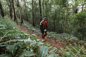 BIB: 
                            <button type="button" onclick="openModal(22564253)" class="btn btn-primary btn-sm float-right btn-popup" data-toggle="modal" data-target=".modal-high-quality">
                        <i class="fas fa-shopping-cart"></i> Add to Cart
                    </button>
                                            <button type="button" onclick="isThisMe(22564253, true)" class="btn btn-success btn-sm float-right btn-popup btn-isme hidden" data-toggle="tooltip" data-placement="bottom" title="นี่คือรูปของคุณใช่ไหม คลิกที่นี่เพื่อเอาเข้าอัลบั้ม">
                        <i class="fas fa-plus"></i> Add to album
                    </button>
                    <button type="button" onclick="isThisMe(22564253, false)" class="btn btn-warning btn-sm float-right btn-popup btn-isnotme hidden">
                        <i class="fas fa-ban"></i> Remove from album
                    </button>