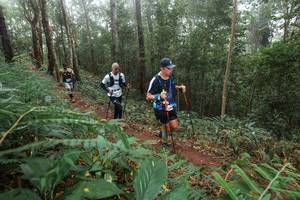 BIB: 
                            <button type="button" onclick="openModal(22572980)" class="btn btn-primary btn-sm float-right btn-popup" data-toggle="modal" data-target=".modal-high-quality">
                        <i class="fas fa-shopping-cart"></i> Add to Cart
                    </button>
                                            <button type="button" onclick="isThisMe(22572980, true)" class="btn btn-success btn-sm float-right btn-popup btn-isme hidden" data-toggle="tooltip" data-placement="bottom" title="นี่คือรูปของคุณใช่ไหม คลิกที่นี่เพื่อเอาเข้าอัลบั้ม">
                        <i class="fas fa-plus"></i> Add to album
                    </button>
                    <button type="button" onclick="isThisMe(22572980, false)" class="btn btn-warning btn-sm float-right btn-popup btn-isnotme hidden">
                        <i class="fas fa-ban"></i> Remove from album
                    </button>