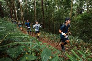 BIB: 
                            <button type="button" onclick="openModal(22569386)" class="btn btn-primary btn-sm float-right btn-popup" data-toggle="modal" data-target=".modal-high-quality">
                        <i class="fas fa-shopping-cart"></i> Add to Cart
                    </button>
                                            <button type="button" onclick="isThisMe(22569386, true)" class="btn btn-success btn-sm float-right btn-popup btn-isme hidden" data-toggle="tooltip" data-placement="bottom" title="นี่คือรูปของคุณใช่ไหม คลิกที่นี่เพื่อเอาเข้าอัลบั้ม">
                        <i class="fas fa-plus"></i> Add to album
                    </button>
                    <button type="button" onclick="isThisMe(22569386, false)" class="btn btn-warning btn-sm float-right btn-popup btn-isnotme hidden">
                        <i class="fas fa-ban"></i> Remove from album
                    </button>