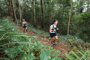 BIB: 
                            <button type="button" onclick="openModal(22583505)" class="btn btn-primary btn-sm float-right btn-popup" data-toggle="modal" data-target=".modal-high-quality">
                        <i class="fas fa-shopping-cart"></i> Add to Cart
                    </button>
                                            <button type="button" onclick="isThisMe(22583505, true)" class="btn btn-success btn-sm float-right btn-popup btn-isme hidden" data-toggle="tooltip" data-placement="bottom" title="นี่คือรูปของคุณใช่ไหม คลิกที่นี่เพื่อเอาเข้าอัลบั้ม">
                        <i class="fas fa-plus"></i> Add to album
                    </button>
                    <button type="button" onclick="isThisMe(22583505, false)" class="btn btn-warning btn-sm float-right btn-popup btn-isnotme hidden">
                        <i class="fas fa-ban"></i> Remove from album
                    </button>