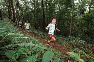 BIB: 
                            <button type="button" onclick="openModal(22535381)" class="btn btn-primary btn-sm float-right btn-popup" data-toggle="modal" data-target=".modal-high-quality">
                        <i class="fas fa-shopping-cart"></i> Add to Cart
                    </button>
                                            <button type="button" onclick="isThisMe(22535381, true)" class="btn btn-success btn-sm float-right btn-popup btn-isme hidden" data-toggle="tooltip" data-placement="bottom" title="นี่คือรูปของคุณใช่ไหม คลิกที่นี่เพื่อเอาเข้าอัลบั้ม">
                        <i class="fas fa-plus"></i> Add to album
                    </button>
                    <button type="button" onclick="isThisMe(22535381, false)" class="btn btn-warning btn-sm float-right btn-popup btn-isnotme hidden">
                        <i class="fas fa-ban"></i> Remove from album
                    </button>