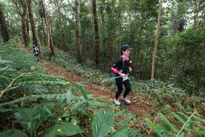 BIB: 
                            <button type="button" onclick="openModal(22579933)" class="btn btn-primary btn-sm float-right btn-popup" data-toggle="modal" data-target=".modal-high-quality">
                        <i class="fas fa-shopping-cart"></i> Add to Cart
                    </button>
                                            <button type="button" onclick="isThisMe(22579933, true)" class="btn btn-success btn-sm float-right btn-popup btn-isme hidden" data-toggle="tooltip" data-placement="bottom" title="นี่คือรูปของคุณใช่ไหม คลิกที่นี่เพื่อเอาเข้าอัลบั้ม">
                        <i class="fas fa-plus"></i> Add to album
                    </button>
                    <button type="button" onclick="isThisMe(22579933, false)" class="btn btn-warning btn-sm float-right btn-popup btn-isnotme hidden">
                        <i class="fas fa-ban"></i> Remove from album
                    </button>