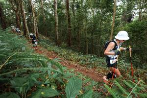 BIB: 6170
                            <button type="button" onclick="openModal(22570586)" class="btn btn-primary btn-sm float-right btn-popup" data-toggle="modal" data-target=".modal-high-quality">
                        <i class="fas fa-shopping-cart"></i> Add to Cart
                    </button>
                                            <button type="button" onclick="isThisMe(22570586, true)" class="btn btn-success btn-sm float-right btn-popup btn-isme hidden" data-toggle="tooltip" data-placement="bottom" title="นี่คือรูปของคุณใช่ไหม คลิกที่นี่เพื่อเอาเข้าอัลบั้ม">
                        <i class="fas fa-plus"></i> Add to album
                    </button>
                    <button type="button" onclick="isThisMe(22570586, false)" class="btn btn-warning btn-sm float-right btn-popup btn-isnotme hidden">
                        <i class="fas fa-ban"></i> Remove from album
                    </button>