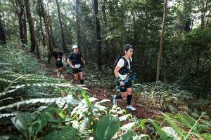 BIB: 
                            <button type="button" onclick="openModal(22543820)" class="btn btn-primary btn-sm float-right btn-popup" data-toggle="modal" data-target=".modal-high-quality">
                        <i class="fas fa-shopping-cart"></i> Add to Cart
                    </button>
                                            <button type="button" onclick="isThisMe(22543820, true)" class="btn btn-success btn-sm float-right btn-popup btn-isme hidden" data-toggle="tooltip" data-placement="bottom" title="นี่คือรูปของคุณใช่ไหม คลิกที่นี่เพื่อเอาเข้าอัลบั้ม">
                        <i class="fas fa-plus"></i> Add to album
                    </button>
                    <button type="button" onclick="isThisMe(22543820, false)" class="btn btn-warning btn-sm float-right btn-popup btn-isnotme hidden">
                        <i class="fas fa-ban"></i> Remove from album
                    </button>