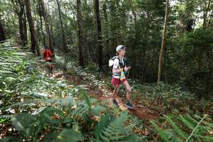 BIB: 
                            <button type="button" onclick="openModal(22545923)" class="btn btn-primary btn-sm float-right btn-popup" data-toggle="modal" data-target=".modal-high-quality">
                        <i class="fas fa-shopping-cart"></i> Add to Cart
                    </button>
                                            <button type="button" onclick="isThisMe(22545923, true)" class="btn btn-success btn-sm float-right btn-popup btn-isme hidden" data-toggle="tooltip" data-placement="bottom" title="นี่คือรูปของคุณใช่ไหม คลิกที่นี่เพื่อเอาเข้าอัลบั้ม">
                        <i class="fas fa-plus"></i> Add to album
                    </button>
                    <button type="button" onclick="isThisMe(22545923, false)" class="btn btn-warning btn-sm float-right btn-popup btn-isnotme hidden">
                        <i class="fas fa-ban"></i> Remove from album
                    </button>