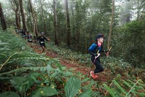 BIB: 
                            <button type="button" onclick="openModal(22572885)" class="btn btn-primary btn-sm float-right btn-popup" data-toggle="modal" data-target=".modal-high-quality">
                        <i class="fas fa-shopping-cart"></i> Add to Cart
                    </button>
                                            <button type="button" onclick="isThisMe(22572885, true)" class="btn btn-success btn-sm float-right btn-popup btn-isme hidden" data-toggle="tooltip" data-placement="bottom" title="นี่คือรูปของคุณใช่ไหม คลิกที่นี่เพื่อเอาเข้าอัลบั้ม">
                        <i class="fas fa-plus"></i> Add to album
                    </button>
                    <button type="button" onclick="isThisMe(22572885, false)" class="btn btn-warning btn-sm float-right btn-popup btn-isnotme hidden">
                        <i class="fas fa-ban"></i> Remove from album
                    </button>